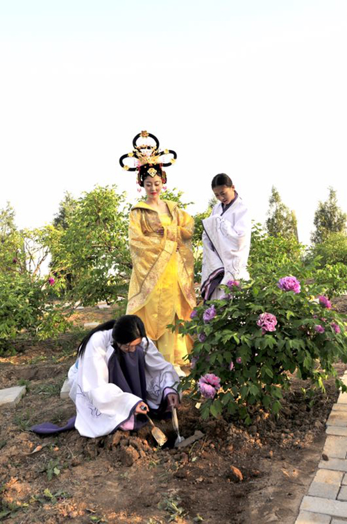 我还没同意呢?怎么牡丹又迁回来了! 我还没同意呢?怎么牡丹又迁回来了!