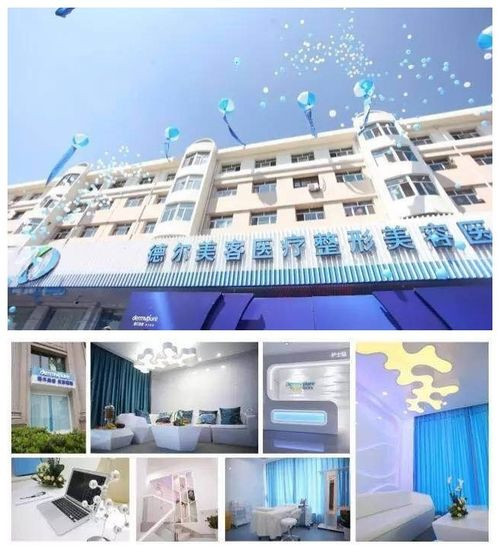 质在当下·求真路漫 德尔美客以客为先,让美更美!