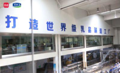 贝店品质溯源之旅,带你探寻国产好奶君乐宝的源头 贝店品质溯源之旅,带你探寻国产好奶君乐宝的源头