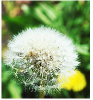 脸上如何祛斑?脸部祛斑方法值得一看 _美容彩