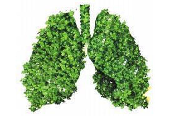 掌握排毒时间表 盘龙云海排毒养颜胶囊让排毒