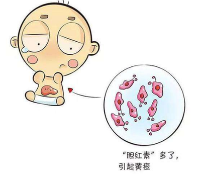f44d305ea5951bdbcfec2c.png
