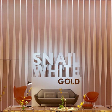 SNAILWHITEʩޱȻݻʱ