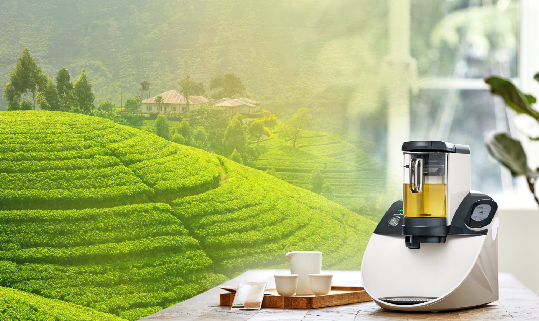 你会为哪种茶买单?Temial知淳引领“茶消费”升级