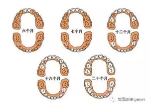˼΢Ц 